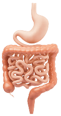 Other Health Concerns